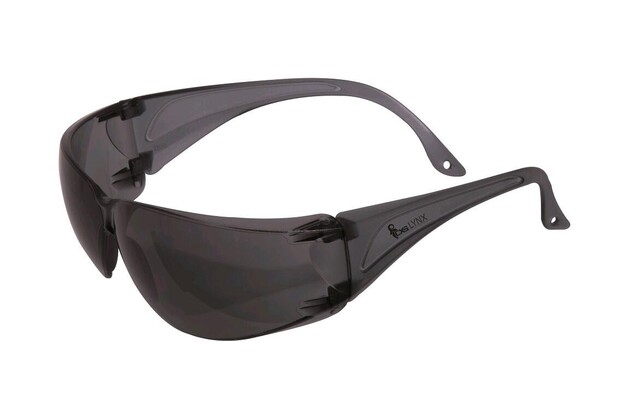 8678_4110 002 720 00 CXS LYNX.JPG